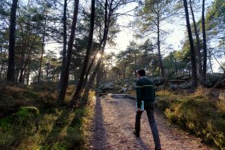 Agent nature et forêt