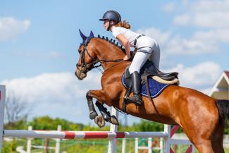 Agent qualifié métiers du cheval