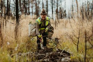 Ouvrier qualifié en sylviculture 