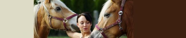 1403-AGENT QUALIFIE DANS LES METIERS DU CHEVAL.jpg